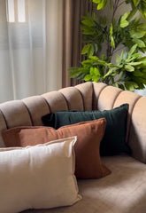 shaped pillow ⭕️