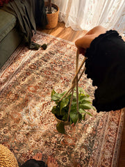 Vintage rug 🤎