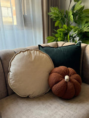 shaped pillow ⭕️