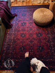 داريا 🇮🇷