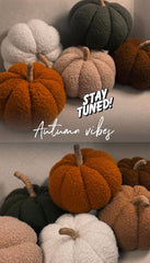 Autumn set 1🍁